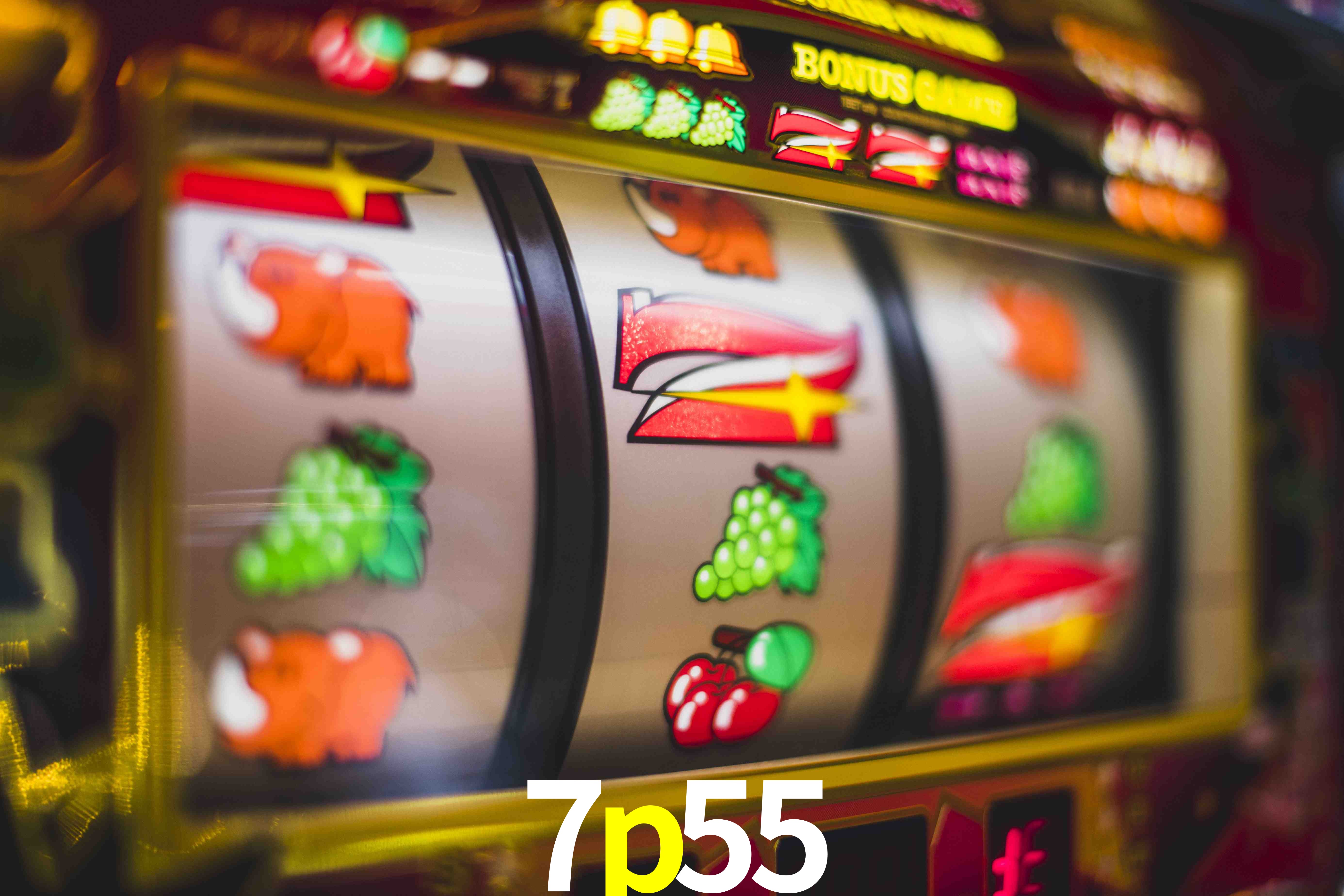 VIP Casino 7p55